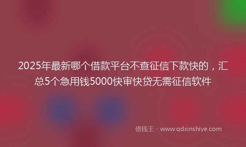 2025年最新哪个借款平台不查征信下款快的，汇总5个急用钱5000快审快贷无需征信软件