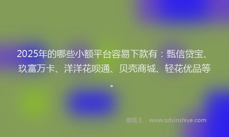 2025年的哪些小额平台容易下款有：甄信贷宝、玖富万卡、洋洋花呗通、贝壳商城、轻花优品等。