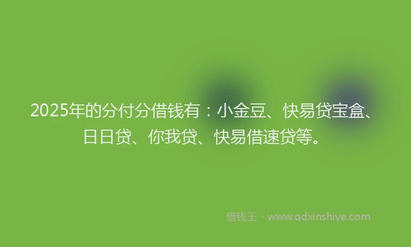 2025年的分付分借钱有：小金豆、快易贷宝盒、日日贷、你我贷、快易借速贷等。