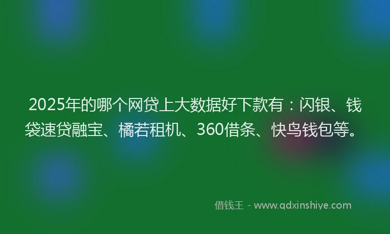 2025年的哪个网贷上大数据好下款有：闪银、钱袋速贷融宝、橘若租机、360借条、快鸟钱包等。