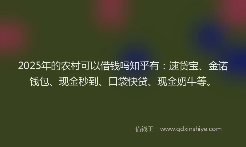 2025年的农村可以借钱吗知乎有：速贷宝、金诺钱包、现金秒到、口袋快贷、现金奶牛等。
