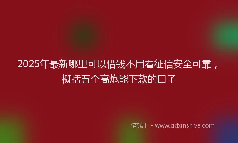 2025年最新哪里可以借钱不用看征信安全可靠，概括五个高炮能下款的口子