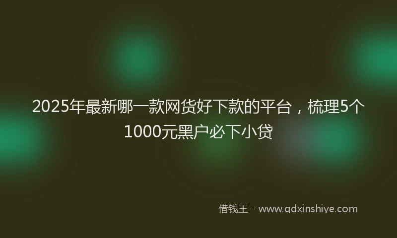 2025年最新哪一款网货好下款的平台，梳理5个1000元黑户必下小贷