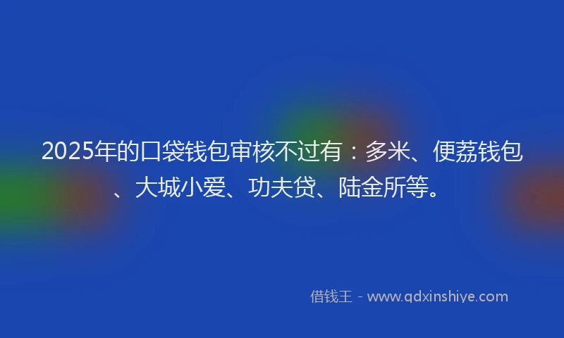 2025年的口袋钱包审核不过有：多米、便荔钱包、大城小爱、功夫贷、陆金所等。