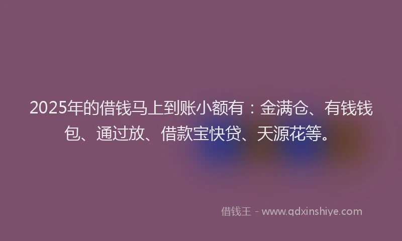 2025年的借钱马上到账小额有：金满仓、有钱钱包、通过放、借款宝快贷、天源花等。