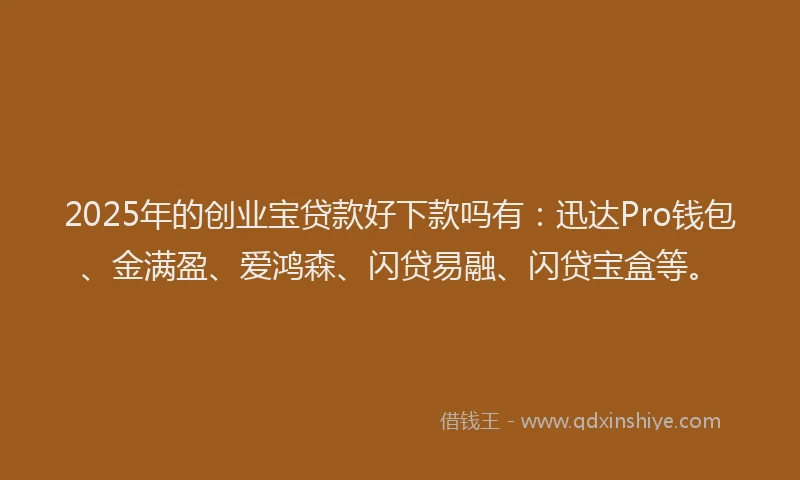 2025年的创业宝贷款好下款吗有：迅达Pro钱包、金满盈、爱鸿森、闪贷易融、闪贷宝盒等。