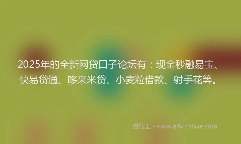 2025年的全新网贷口子论坛有：现金秒融易宝、快易贷通、哆来米贷、小麦粒借款、射手花等。