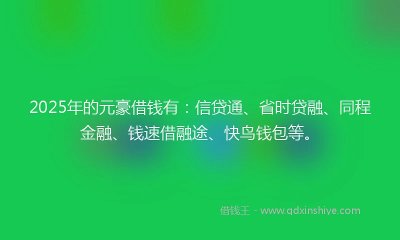 2025年的元豪借钱有：信贷通、省时贷融、同程金融、钱速借融途、快鸟钱包等。