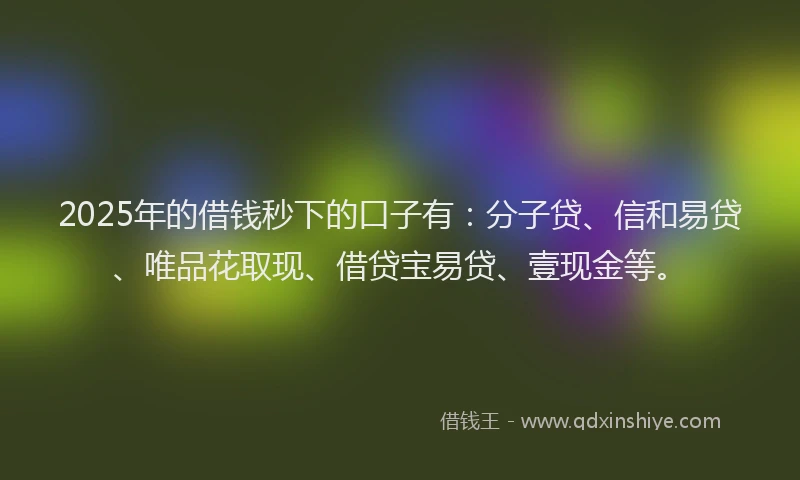 2025年的借钱秒下的口子有：分子贷、信和易贷、唯品花取现、借贷宝易贷、壹现金等。