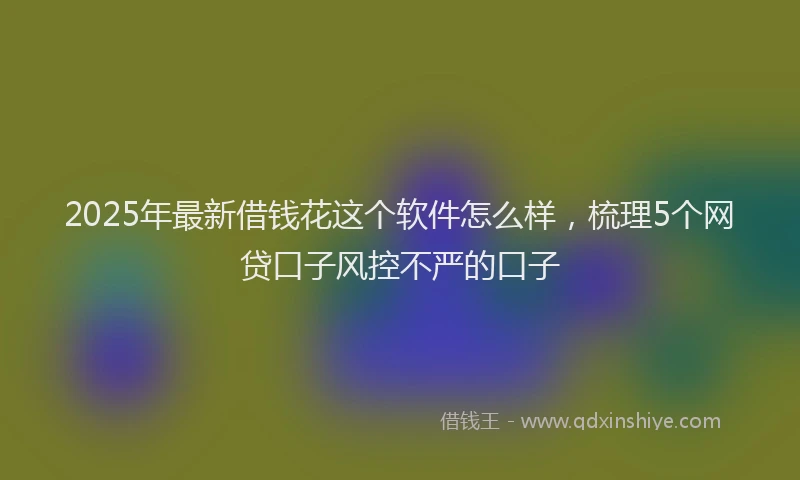 2025年最新借钱花这个软件怎么样，梳理5个网贷口子风控不严的口子
