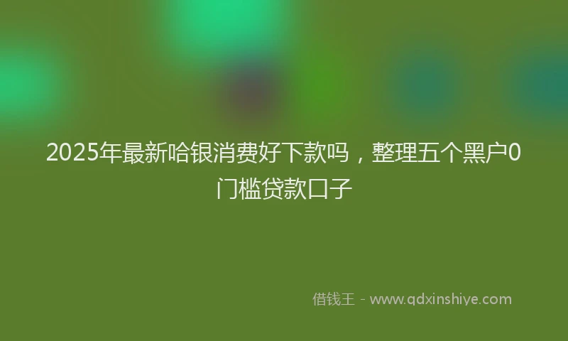 2025年最新哈银消费好下款吗，整理五个黑户0门槛贷款口子