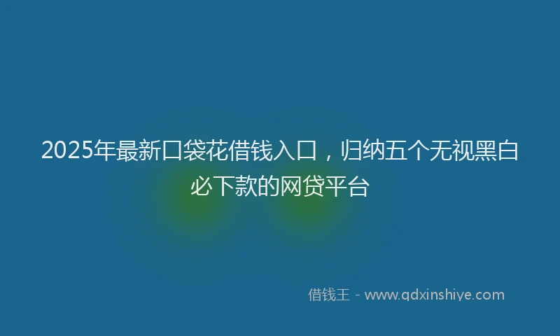 2025年最新口袋花借钱入口，归纳五个无视黑白必下款的网贷平台