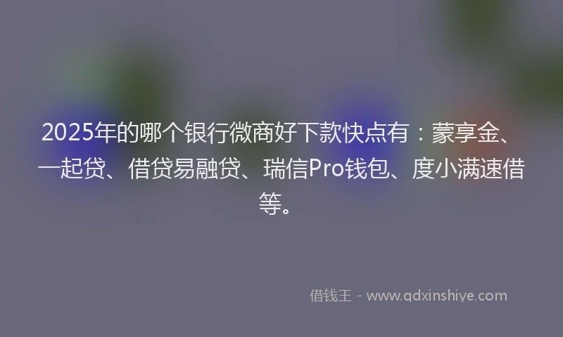 2025年的哪个银行微商好下款快点有：蒙享金、一起贷、借贷易融贷、瑞信Pro钱包、度小满速借等。