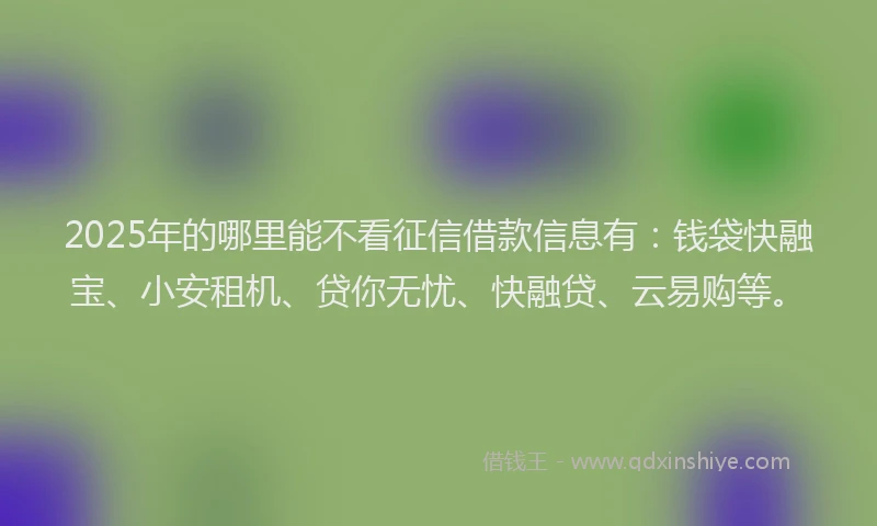 2025年的哪里能不看征信借款信息有：钱袋快融宝、小安租机、贷你无忧、快融贷、云易购等。