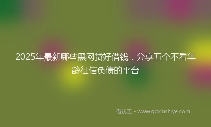2025年最新哪些黑网贷好借钱，分享五个不看年龄征信负债的平台