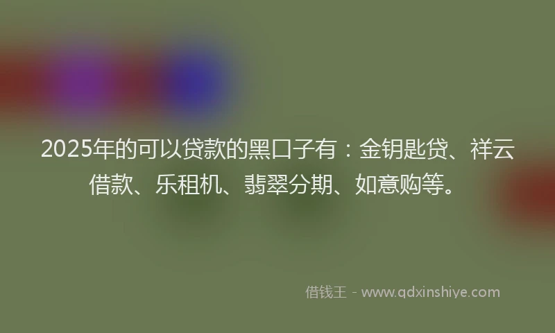 2025年的可以贷款的黑口子有：金钥匙贷、祥云借款、乐租机、翡翠分期、如意购等。