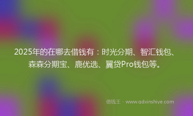 2025年的在哪去借钱有：时光分期、智汇钱包、森森分期宝、鹿优选、翼贷Pro钱包等。