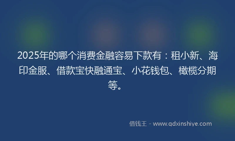 2025年的哪个消费金融容易下款有：租小新、海印金服、借款宝快融通宝、小花钱包、橄榄分期等。