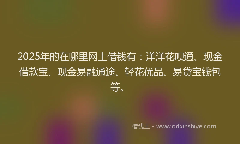 2025年的在哪里网上借钱有：洋洋花呗通、现金借款宝、现金易融通途、轻花优品、易贷宝钱包等。