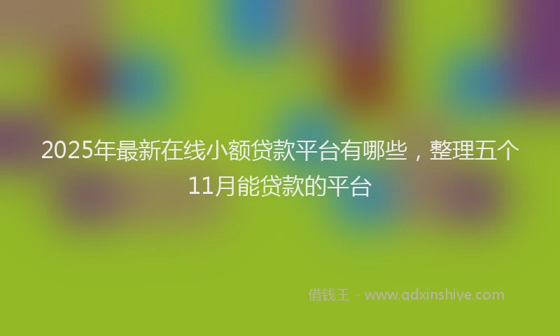 2025年最新在线小额贷款平台有哪些，整理五个11月能贷款的平台