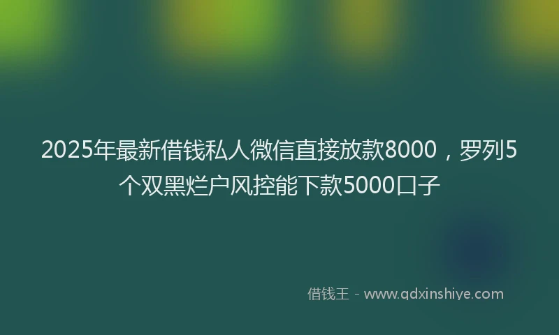 2025年最新借钱私人微信直接放款8000，罗列5个双黑烂户风控能下款5000口子
