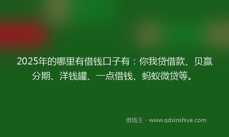 2025年的哪里有借钱口子有：你我贷借款、贝赢分期、洋钱罐、一点借钱、蚂蚁微贷等。