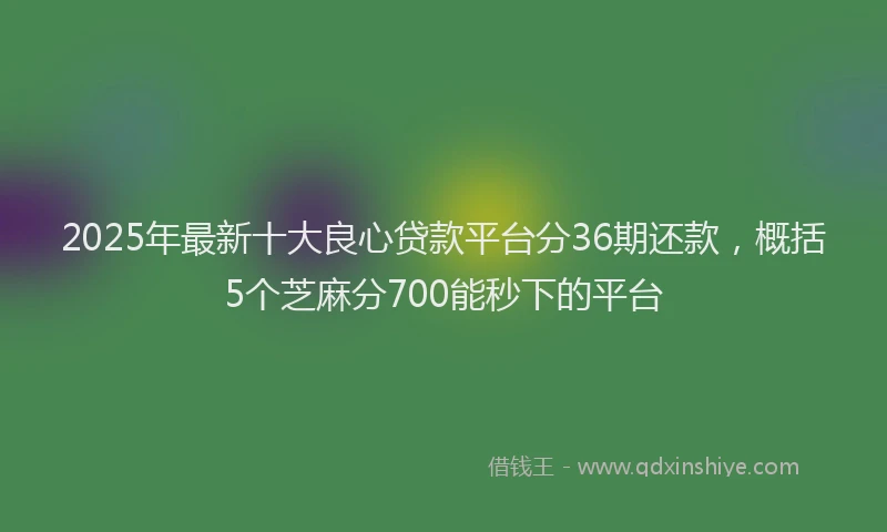 2025年最新十大良心贷款平台分36期还款，概括5个芝麻分700能秒下的平台