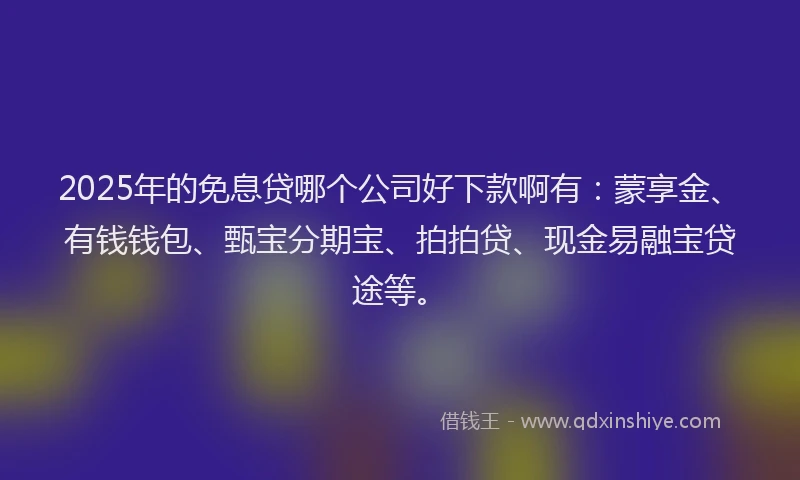 2025年的免息贷哪个公司好下款啊有：蒙享金、有钱钱包、甄宝分期宝、拍拍贷、现金易融宝贷途等。