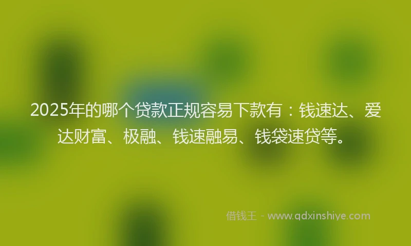 2025年的哪个贷款正规容易下款有：钱速达、爱达财富、极融、钱速融易、钱袋速贷等。