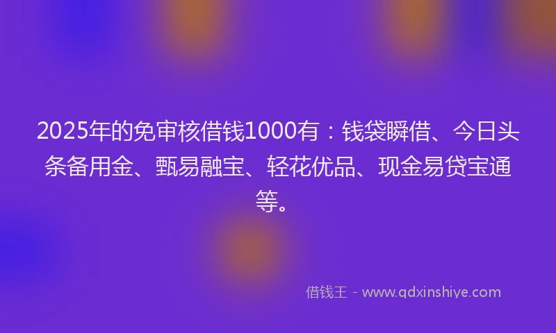 2025年的免审核借钱1000有：钱袋瞬借、今日头条备用金、甄易融宝、轻花优品、现金易贷宝通等。
