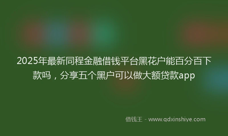 2025年最新同程金融借钱平台黑花户能百分百下款吗，分享五个黑户可以做大额贷款app