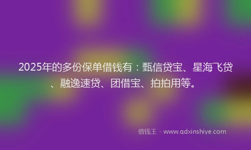 2025年的多份保单借钱有：甄信贷宝、星海飞贷、融逸速贷、团借宝、拍拍用等。