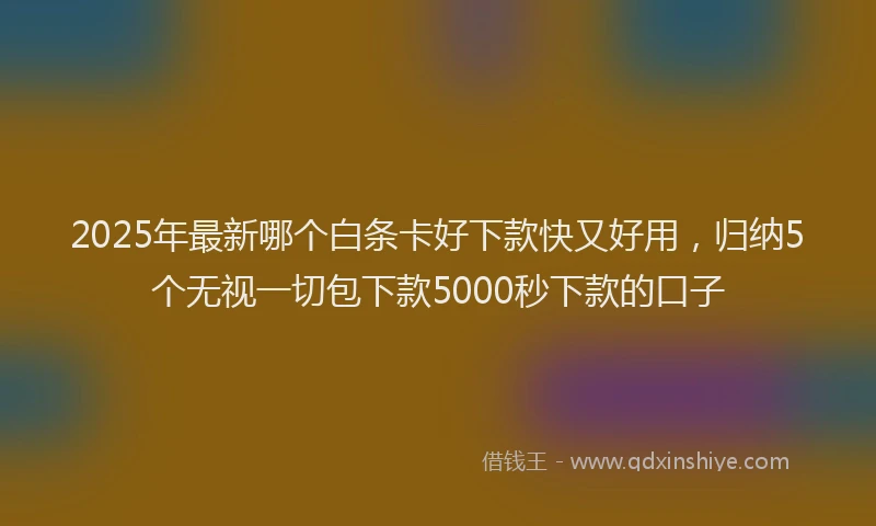 2025年最新哪个白条卡好下款快又好用，归纳5个无视一切包下款5000秒下款的口子