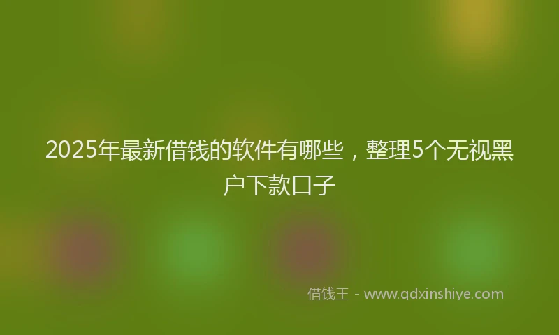 2025年最新借钱的软件有哪些，整理5个无视黑户下款口子