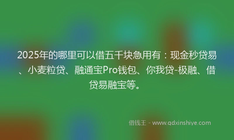 2025年的哪里可以借五千块急用有：现金秒贷易、小麦粒贷、融通宝Pro钱包、你我贷-极融、借贷易融宝等。