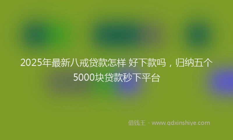 2025年最新八戒贷款怎样 好下款吗，归纳五个5000块贷款秒下平台