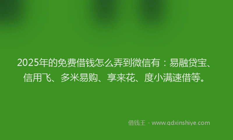2025年的免费借钱怎么弄到微信有：易融贷宝、信用飞、多米易购、享来花、度小满速借等。