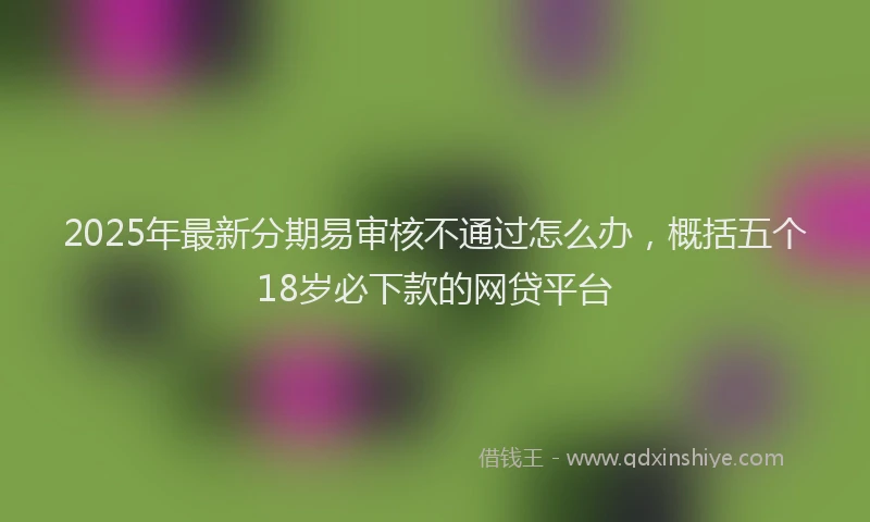 2025年最新分期易审核不通过怎么办，概括五个18岁必下款的网贷平台