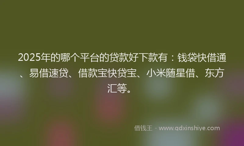2025年的哪个平台的贷款好下款有：钱袋快借通、易借速贷、借款宝快贷宝、小米随星借、东方汇等。