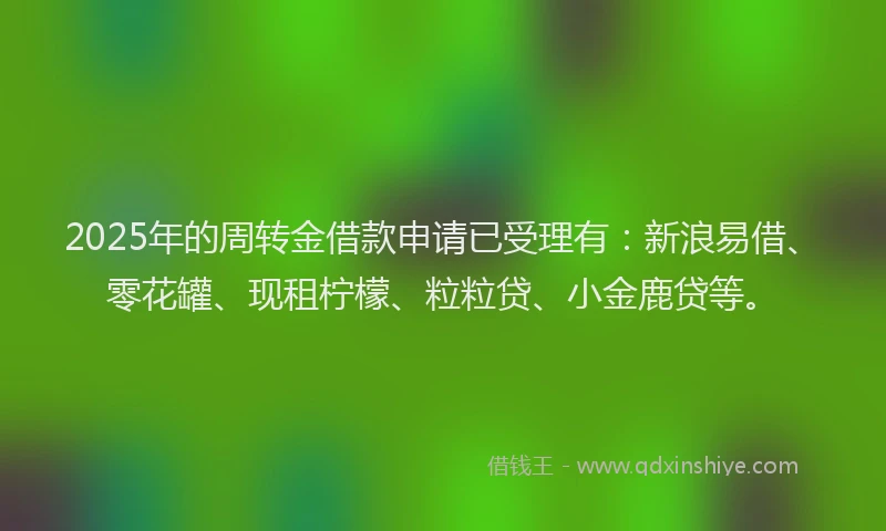 2025年的周转金借款申请已受理有：新浪易借、零花罐、现租柠檬、粒粒贷、小金鹿贷等。