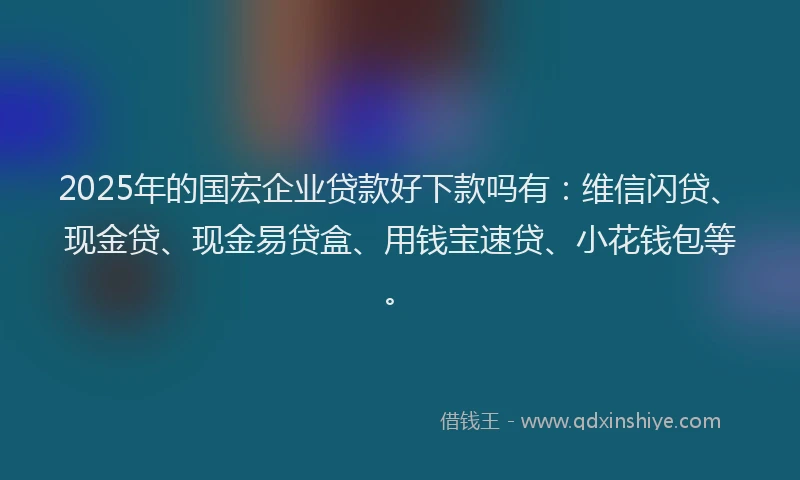 2025年的国宏企业贷款好下款吗有：维信闪贷、现金贷、现金易贷盒、用钱宝速贷、小花钱包等。