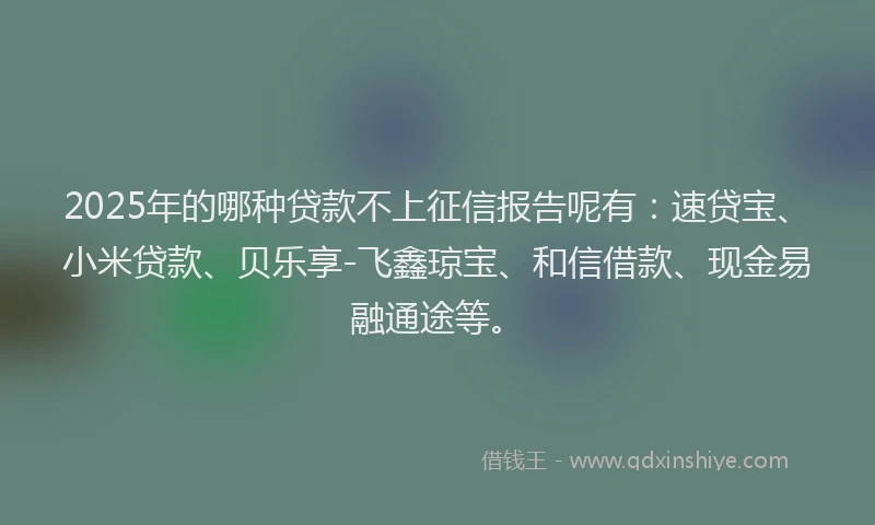 2025年的哪种贷款不上征信报告呢有：速贷宝、小米贷款、贝乐享-飞鑫琼宝、和信借款、现金易融通途等。