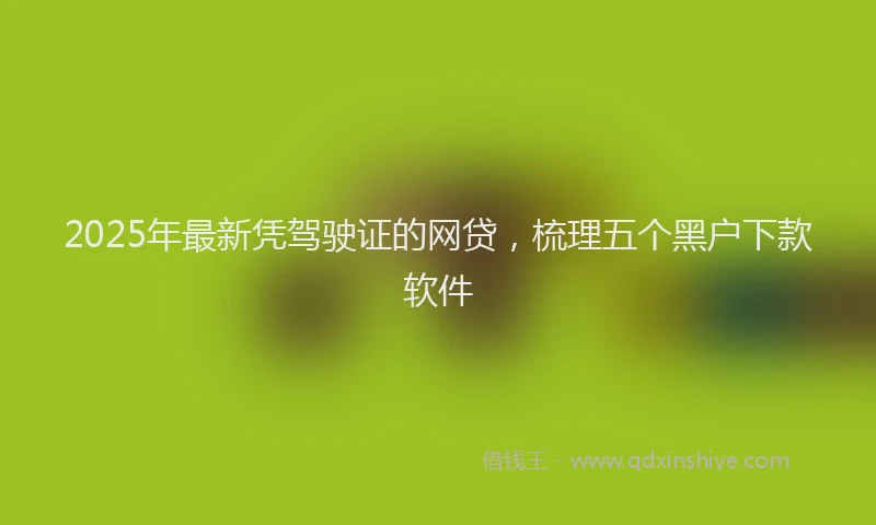 2025年最新凭驾驶证的网贷，梳理五个黑户下款软件