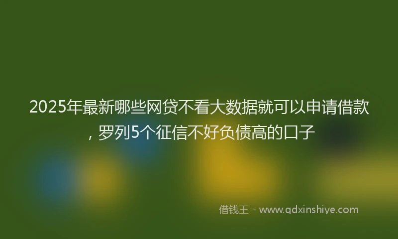 2025年最新哪些网贷不看大数据就可以申请借款，罗列5个征信不好负债高的口子