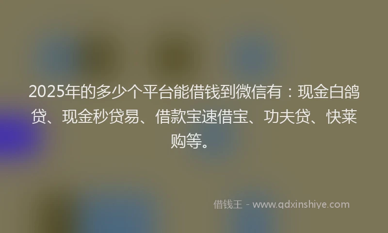 2025年的多少个平台能借钱到微信有：现金白鸽贷、现金秒贷易、借款宝速借宝、功夫贷、快莱购等。
