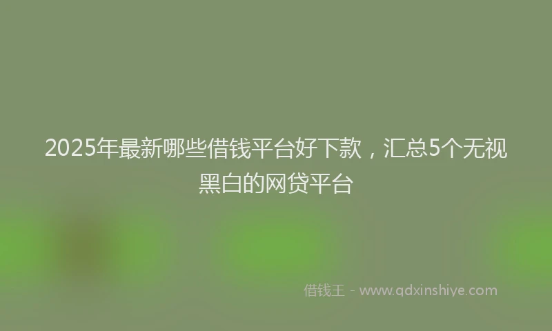 2025年最新哪些借钱平台好下款，汇总5个无视黑白的网贷平台