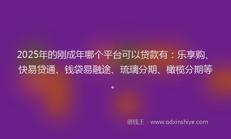 2025年的刚成年哪个平台可以贷款有：乐享购、快易贷通、钱袋易融途、琉璃分期、橄榄分期等。