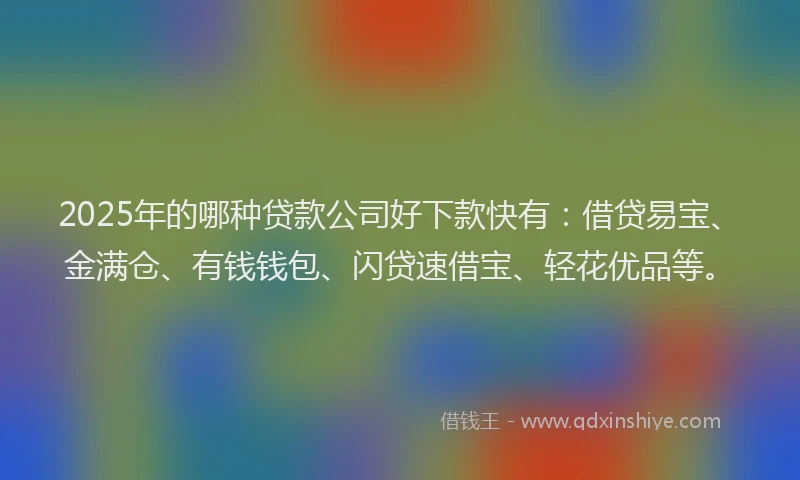 2025年的哪种贷款公司好下款快有：借贷易宝、金满仓、有钱钱包、闪贷速借宝、轻花优品等。
