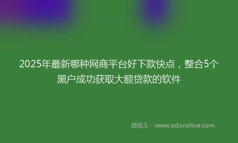 2025年最新哪种网商平台好下款快点，整合5个黑户成功获取大额贷款的软件