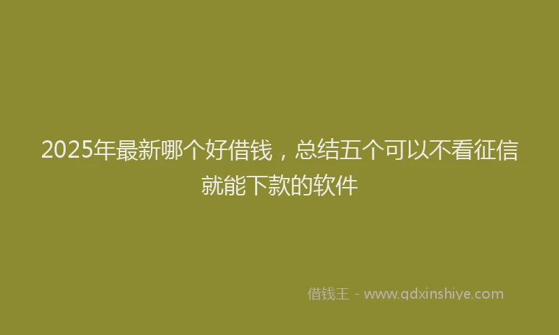 2025年最新哪个好借钱，总结五个可以不看征信就能下款的软件